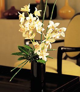  Rize nternetten iek siparii  cam yada mika vazo ierisinde dal orkide