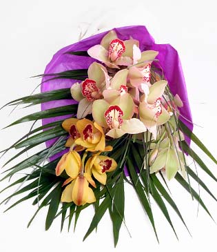  Rize iek sat  1 adet dal orkide buket halinde sunulmakta