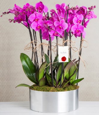 11 dall mor orkide metal vazoda  Rize 14 ubat sevgililer gn iek 