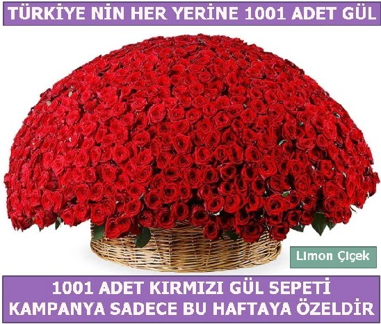1001 Adet kırmızı gül Bu haftaya özel  Rize uluslararası çiçek gönderme 
