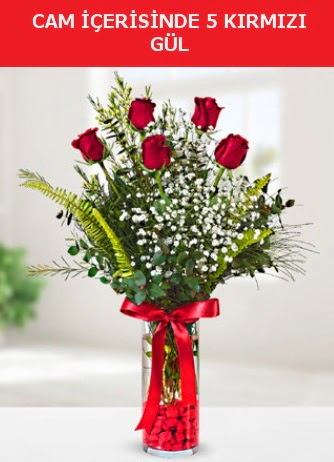 Cam içerisinde 5 adet kırmızı gül  Rize online çiçekçi , çiçek siparişi 