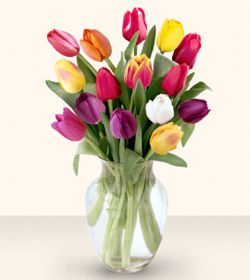  Rize İnternetten çiçek siparişi  13 adet cam yada mika vazoda laleler
