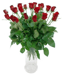  Rize çiçek online çiçek siparişi  11 adet kimizi gülün ihtisami cam yada mika vazo modeli