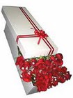  Rize çiçek online çiçek siparişi  11 adet 1.kalite magnum güller