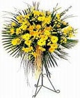  Rize online çiçek gönderme sipariş  Sari kazablanka Ferforje